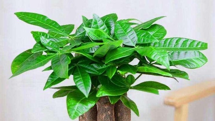現(xiàn)代辦公室裝修，需要滿足哪些點？